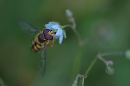 Bernhard Saalfeld - DSC07267 -2.jpg